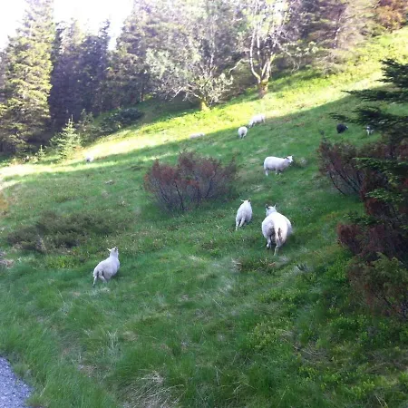 Cozy Flat In Best Location In Bergen. Tg94f *